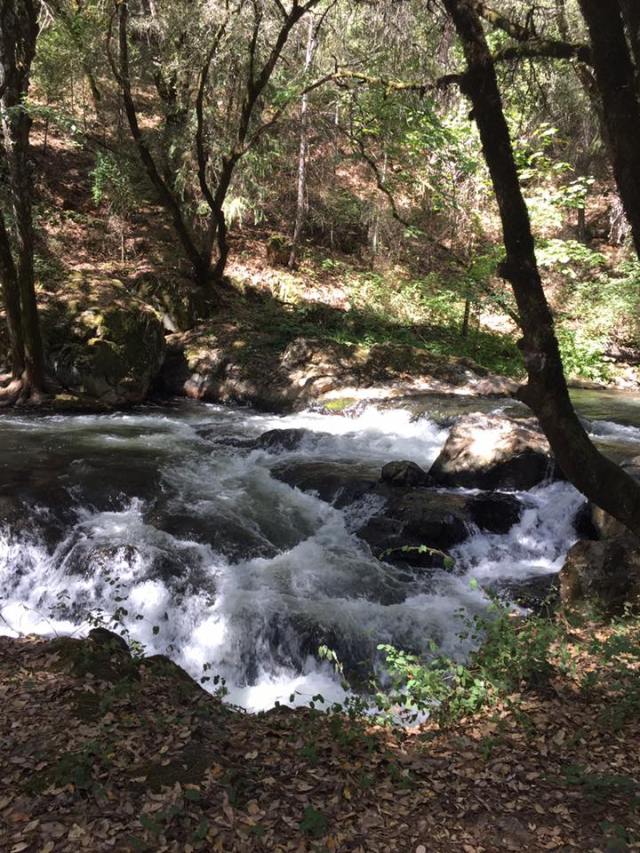 3491ffd0-c165-4ec5-b86e-f0875a110287